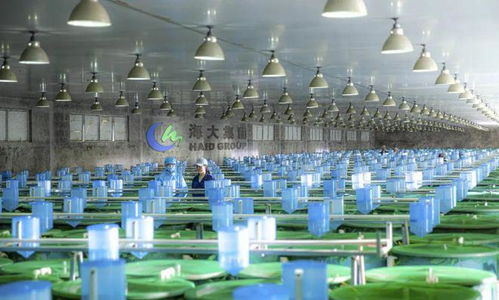 2024,哪些企業(yè)會(huì)倒下 哪些企業(yè)會(huì)雄起 哪些品種會(huì)暴雷 又有哪些機(jī)會(huì) 四問(wèn)中國(guó)水產(chǎn)業(yè)